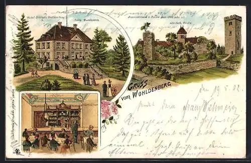 Lithographie Wohldenberg, Hotel-Schloss Wohldenberg, Aussichtsturm und Ruine