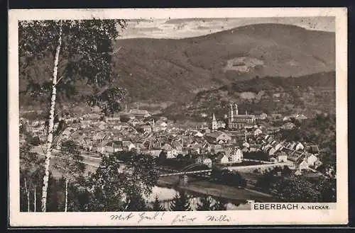 AK Eberbach a. Neckar, Ortsansicht mit Neckarpartie und Bergen