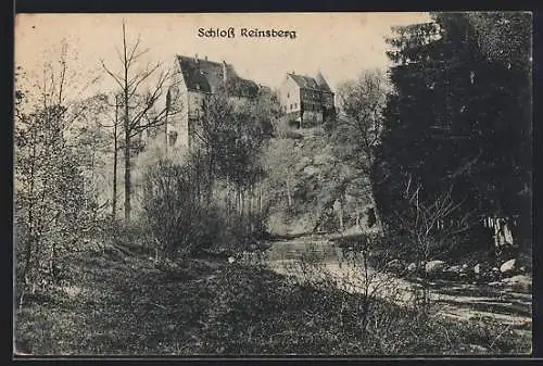 AK Reinsberg / Sachsen, Schloss mit Waldpartie