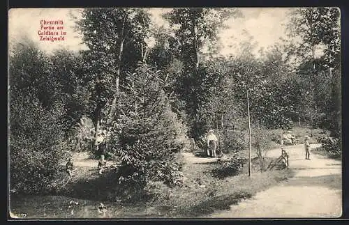 AK Chemnitz, Partie am Goldborn im Zeisigwald