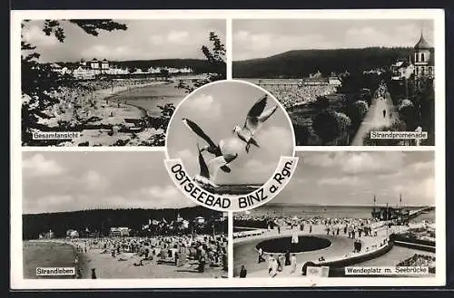 AK Binz a. Rgn., Strandpromenade, Wendeplatz m. Seebrücke, Strandleben