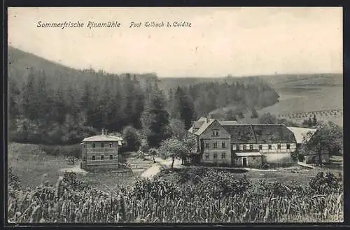 AK Erlbach / Colditz, Sicht auf die Rinnmühle