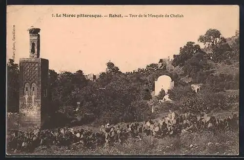 AK Rabat, Tour de la Mosquée de Chellah