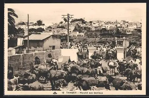 AK Tanger, Marché aux bestiaux