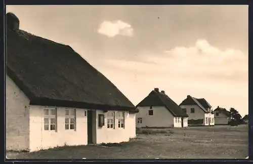 AK Neuendorf /Hiddensee, Ansicht mit Reetdach-Häusern