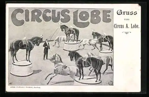 AK Circus A. Lobe, Pferde-Dressur