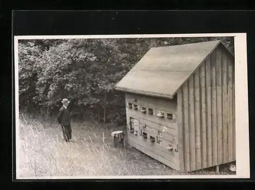 Foto-AK Bienenhaus, Imkerei