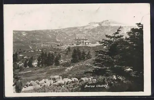 AK Bursa, Uludag