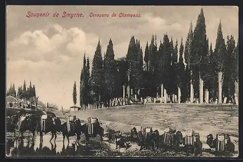 AK Smyrne, Caravane de Chameaux
