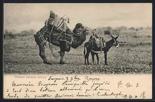 AK Smyrne, Chameau Pehlavan, lutteur