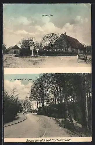 AK Aumühle /Sachsenwald, Gasthaus Gräper und Landpartie