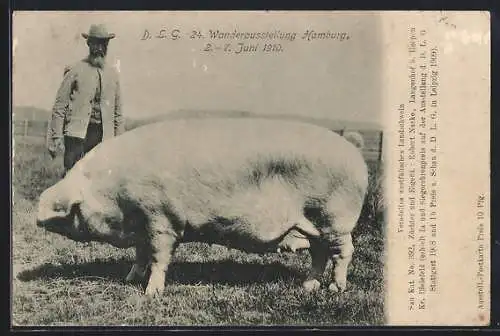 AK Hamburg, DLG Wanderausstellung 1910, Bauer mit westfälischem Landschwein