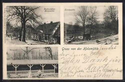 AK Eldagsen / Springe, Gasthof Holzmühle mit Veranda und Teichpartie