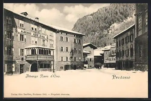 AK Predazzo, Albergo Nave d`Oro