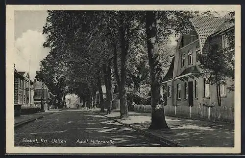 AK Ebstorf /Krs. Uelzen, strasse mit Bäumen