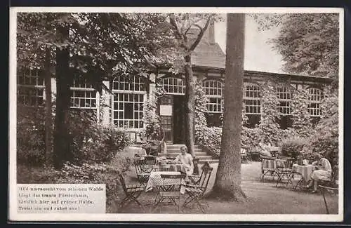 AK Hameln, Gasthof Forsthaus Finkenborn W. Dieterich, Gartenansicht