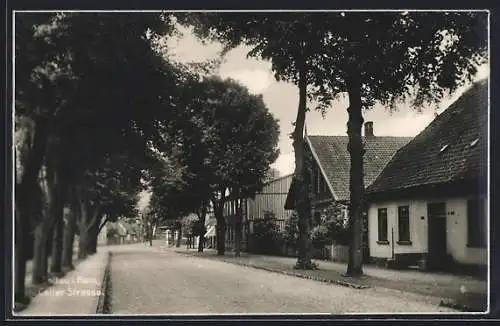 AK Soltau i. Hann, Partie in der Celler Strasse