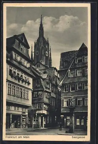 AK Alt-Frankfurt, Häuser der Saalgasse, Turm des Doms