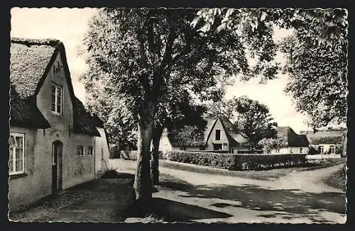 AK Goting /Föhr, Dorfstrasse mit Abzweig