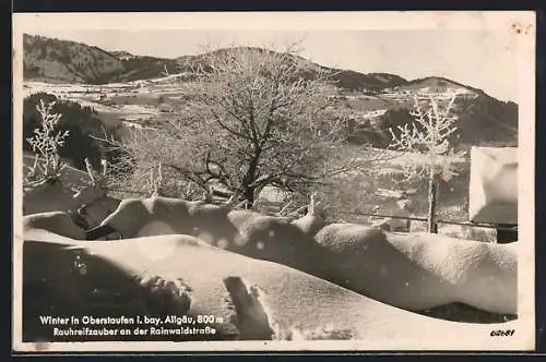 AK Oberstaufen /Allgäu, Raureifzauber an der Rainwaldstrasse