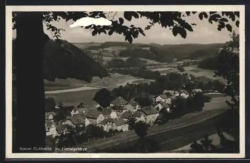 AK Goldmühl i. Fichtelgeb., Blick vom Berg auf den Ort