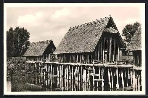 AK Unteruhldingen, Freilichtmuseum, Dorfhalle und Hafen im Pfahldorf der Steinzeit