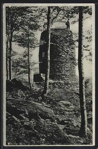 AK Schwarzach /Ndb., Hirschenstein, Aussichtsturm der WVS München