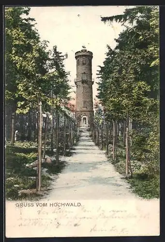 AK Hochwald / Zittau, Hochwald-Aussichtsturm