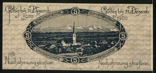 Notgeld Schwanenstadt 1920, 5 Heller, Gutschein über Fünf Heller, Stadtszene und Berglandschaft