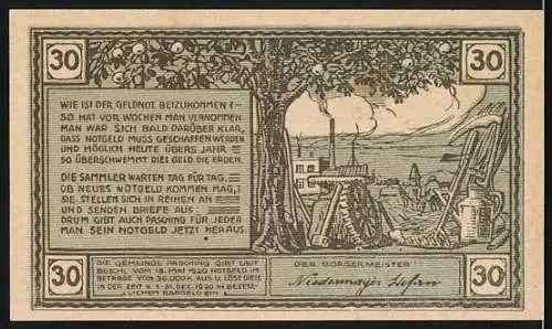 Notgeld Pasching, 1920, 30 Heller, Gutschein der Gemeinde Pasching, Gültig bis 31.12.1920, Gesamtbetrag 36.000 Kronen