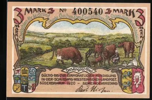 Notgeld Süderbrarup, 1920, 3 Mark, Anglerrind und Torsbergmoor mit Hünengrab