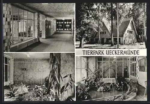 AK Ueckermünde, Tierpark Ueckermünde, Vivarium