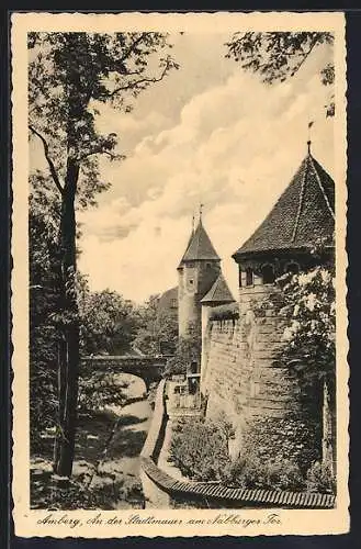 AK Amberg, An der Stadtmauer am Nabburger Tor
