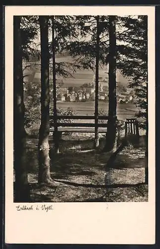 AK Erlbach i. Vogtl., Ortsansicht von Anhöhe aus