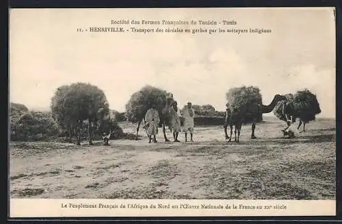 AK Henriville, Societé des Fermes Francaises, Transport des céréales en gerbes par les metayers indigènes