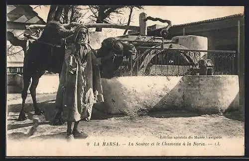 AK Marsa, La Source et le Chameau a la Noria