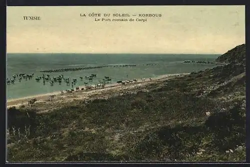 AK Korbous, La Côte du Soleil, Le Port romain de Carpi
