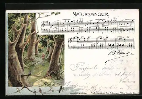 Künstler-AK Lied Natursänger, Wanderer im Wald