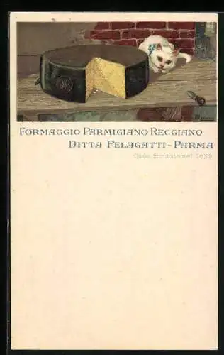 AK Katze sitzt am Käse, Reklame für Formaggio Parmigiano Reggiano, Ditta Pelagatti, Parma