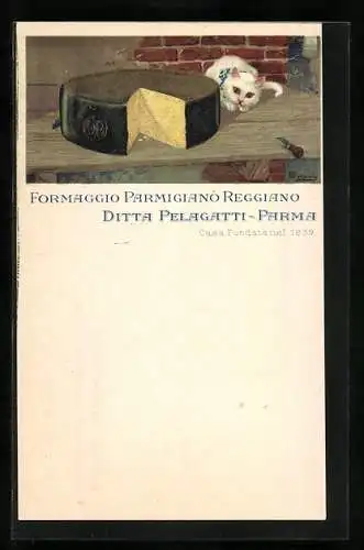 AK Katze sitzt am Käse, Reklame für Formaggio Parmigiano Reggiano, Ditta Pelagatti, Parma