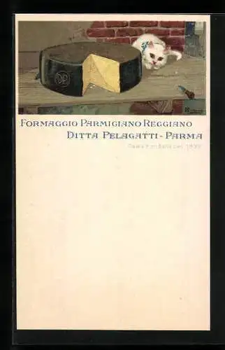 AK Katze sitzt am Käse, Reklame für Formaggio Parmigiano Reggiano, Ditta Pelagatti, Parma