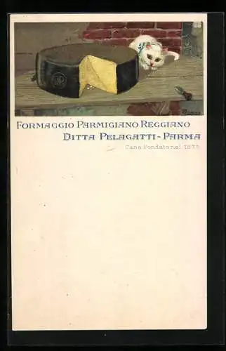 AK Katze sitzt am Käse, Reklame für Formaggio Parmigiano Reggiano, Ditta Pelagatti, Parma