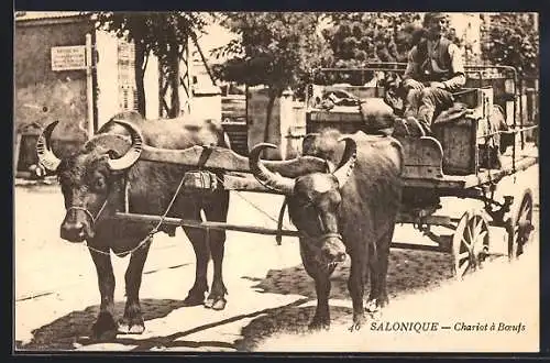 AK Salonique, Chariot à Boeufs