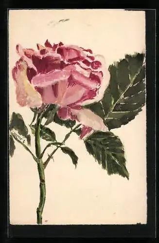 Künstler-AK Handgemalt: Rote Rose in Blüte