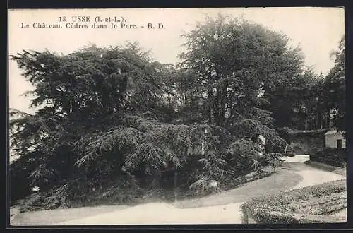 AK Ussé /Indre-et-Loire, Le Chateau, cèdres dans le Parc