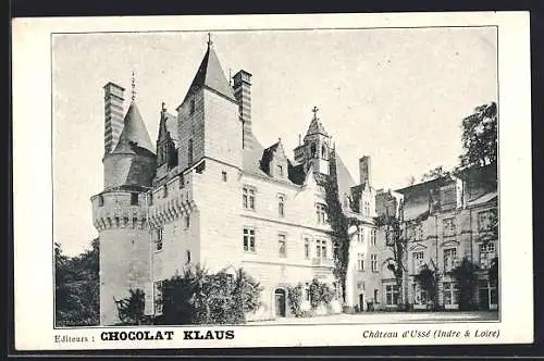 AK Ussé /Indre-et-Loire, Le Chateau