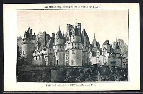 AK Ussé /Indre-et-Loire, Chateau, Ensemble N.-E.