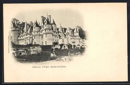 AK Ussé /Indre-et-Loire, Le Chateau