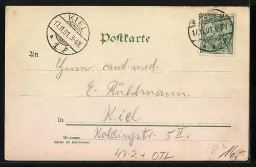 Künstler-AK Hannover, Studentenwappen Verein Deutscher Studenten