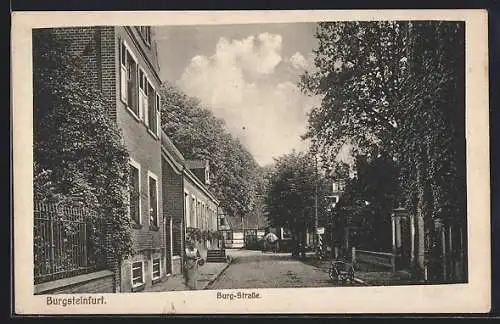 AK Burgsteinfurt, Blick in die Burg-Strasse